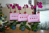 SBS (3031).JPG